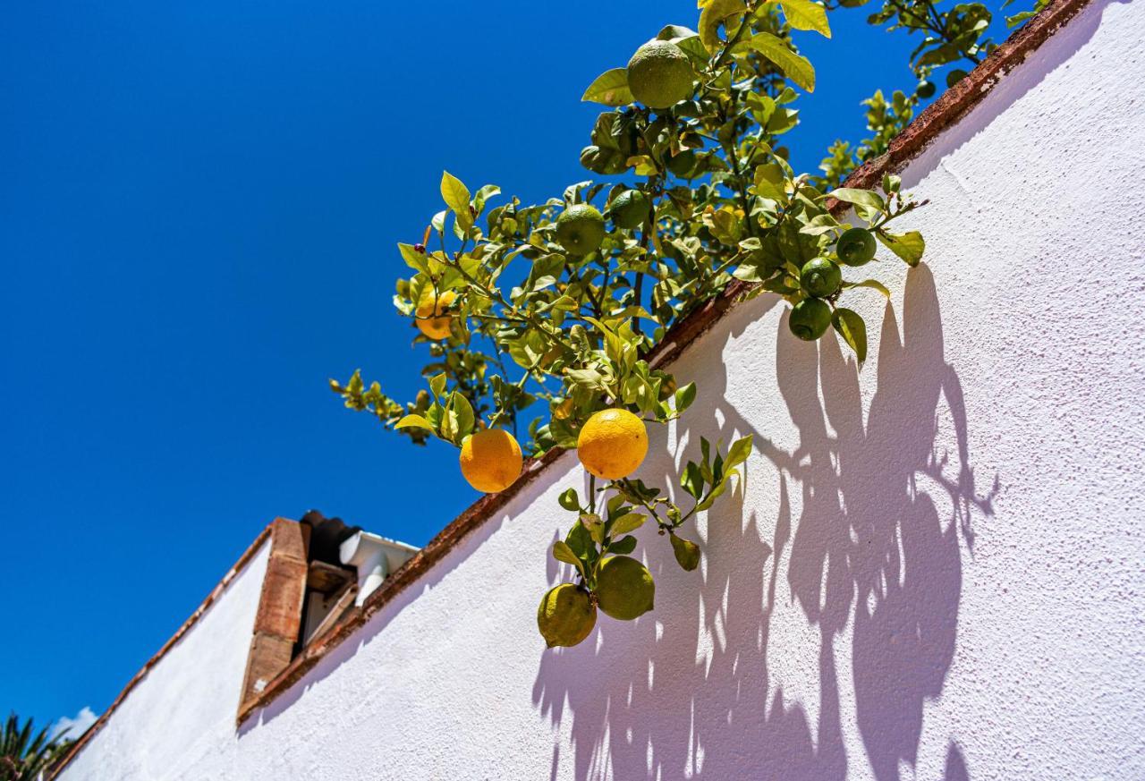 Villa Yanna Benalmádena Extérieur photo